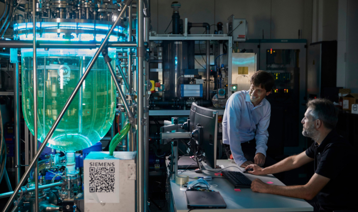 Using accelerated product introduction to maximize productivity